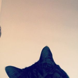 Meet your Posher, Hope